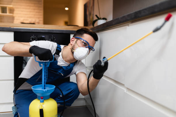 Pest Prevention Services in Levelland, TX