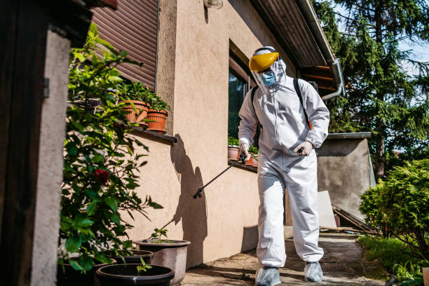 Best Residential Pest Control  in Levelland, TX
