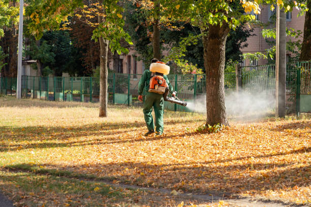 Professional Pest Control in Levelland, TX